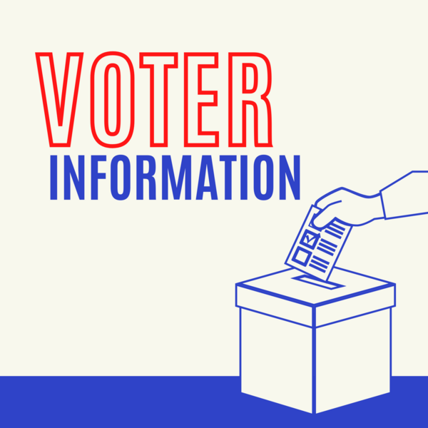 Voter Information graphic