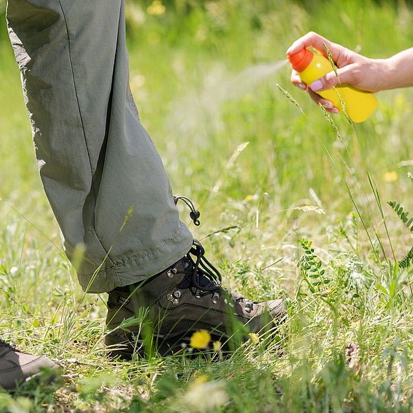 Person getting sprayed by bug spray image