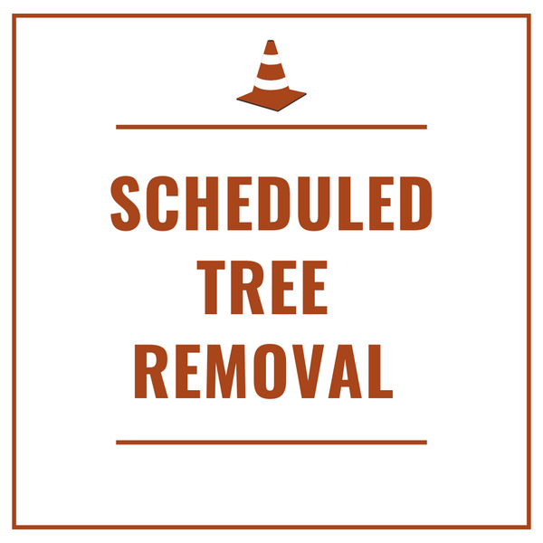 Text graphic that says “Scheduled Tree Removal” with a traffic cone graphic